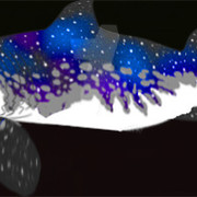 tibu3