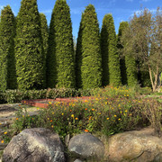 IMG-0639