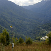 DSC7176