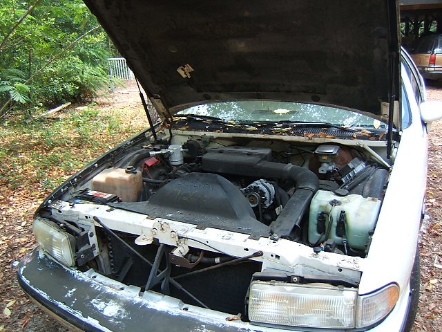 DSCF5401.jpg