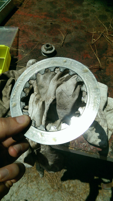 IMAG0242