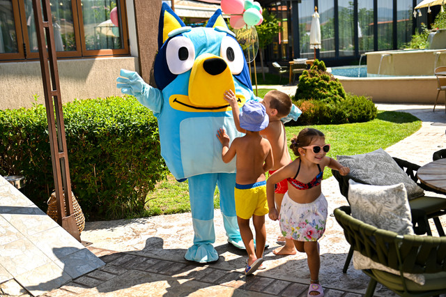 pic-235