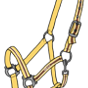 riimu4 5