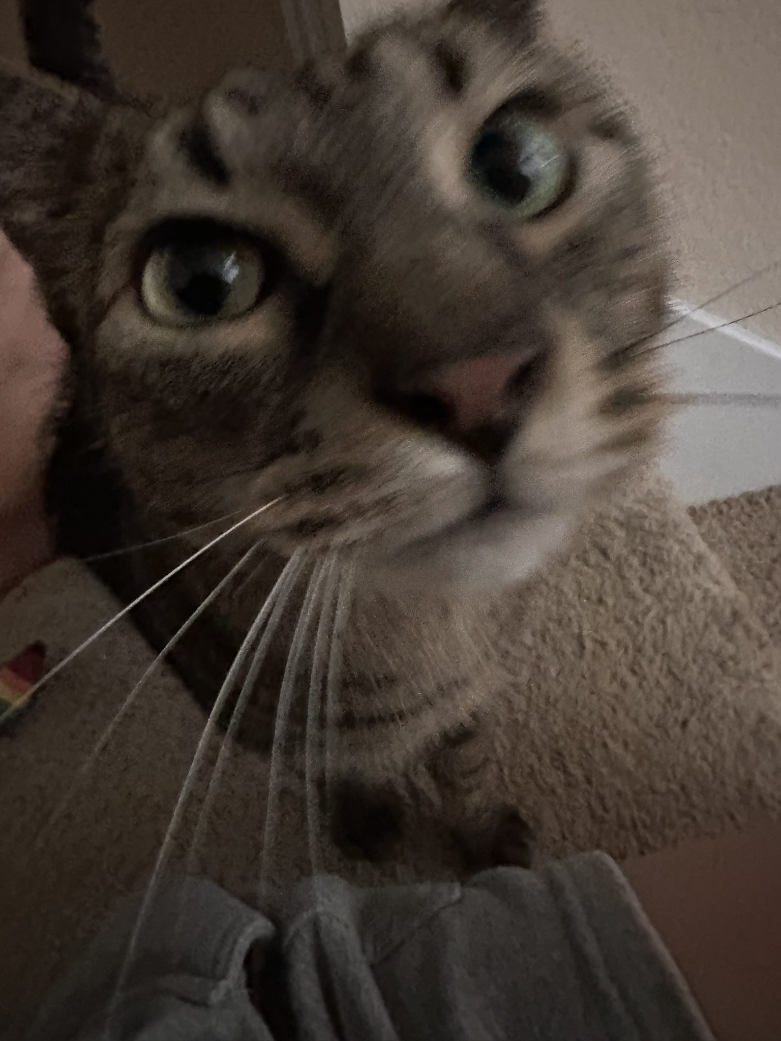 sir