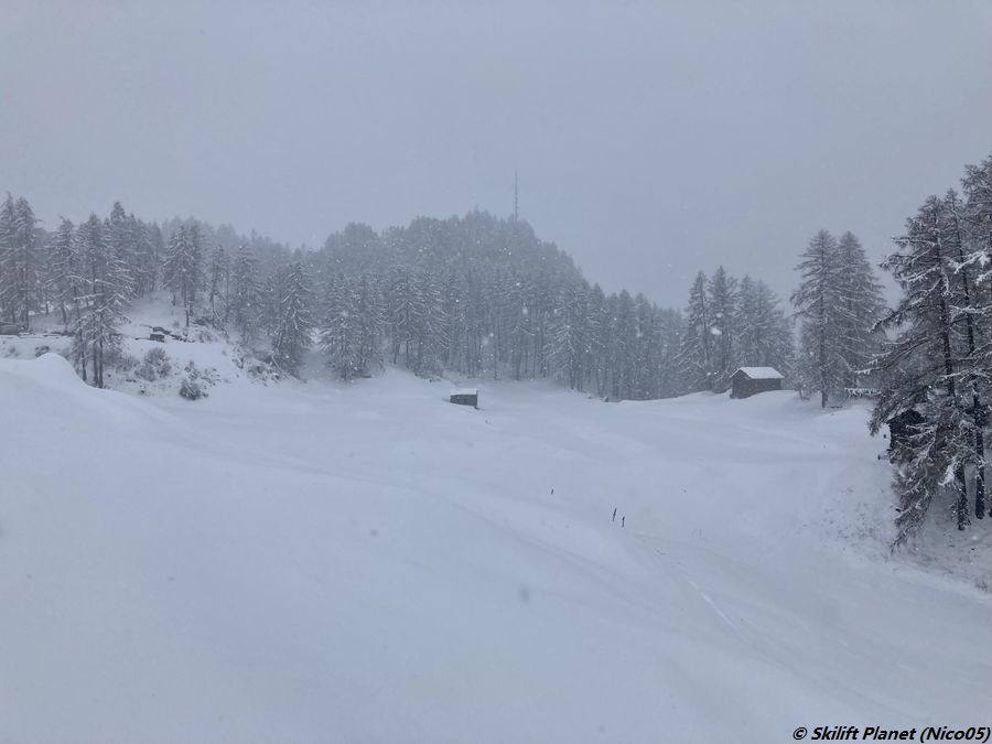 IMG-E3761.jpg