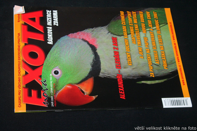 IMG-7810.jpg