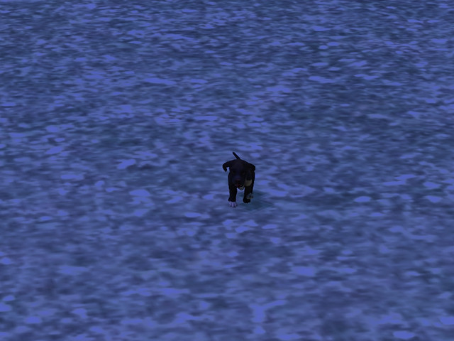 Screenshot-216