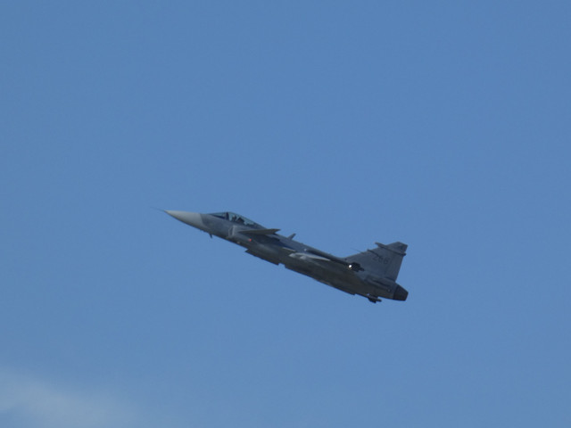 P1010347-2.jpg
