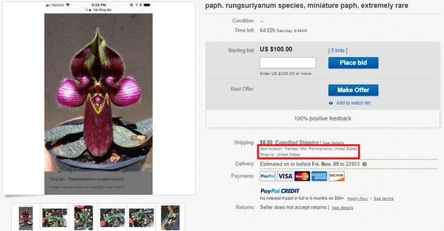 Ebaypost.jpg