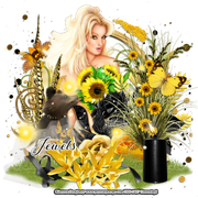 jewels-connieff