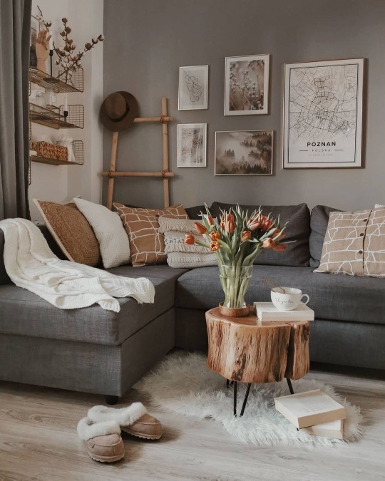 tumblr-da2243104ddf5dc80bb30556341a3342-93fbad4e-540