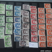 IMG-3594