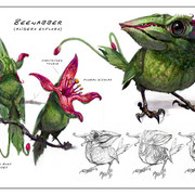 Colbird