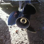 IMG 3447