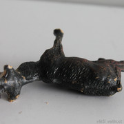 IMG-6640