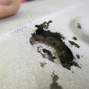 IMG-8974