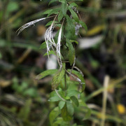 DSC7688