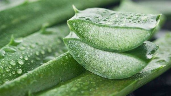 Aloe Vera Gel.jpg