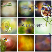 A-Starry-Night4-P