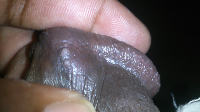 DSC 0082