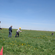 DSC00347