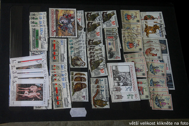IMG-3385.jpg