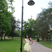 IMG 0091
