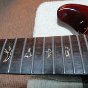 IMG-1456
