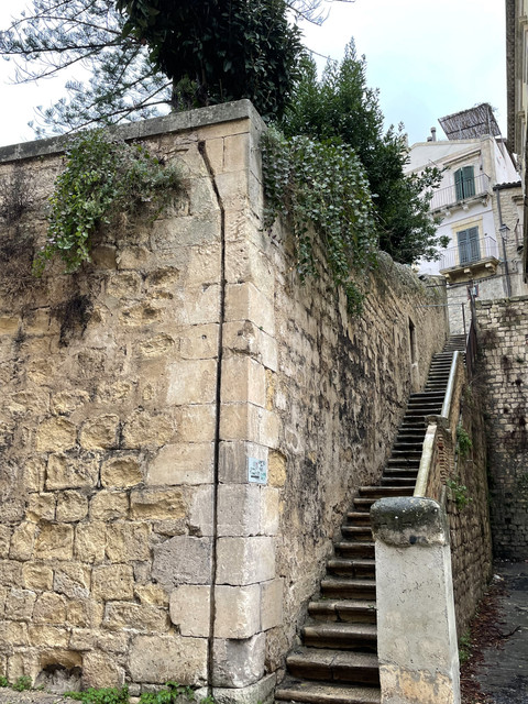 IMG-8764
