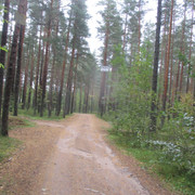IMG-9708
