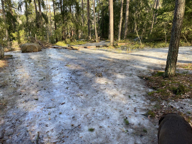 932-EDC1-D-CC0-D-44-E7-99-B9-362143066-C