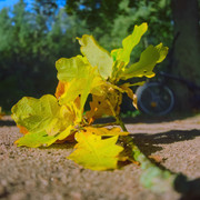 DSCF4472