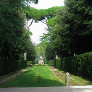 IMG-8784-2