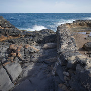 DSC00984