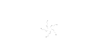 20190629-023.gif