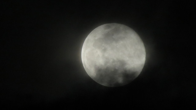Pmoon-062.jpg