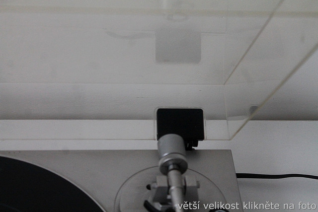 IMG-5527.jpg