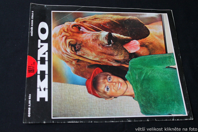 IMG-9925.jpg