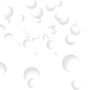 disz2
