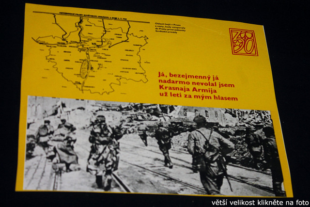 IMG-8647.jpg