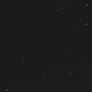 IMG-0079