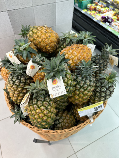 IMG-3536