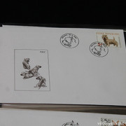 IMG-2675