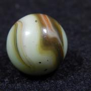 DSCN5384