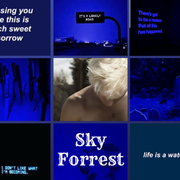 Sky-Forrest
