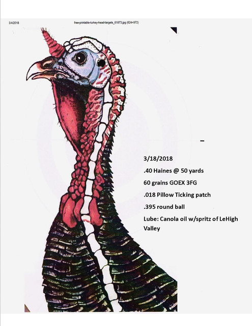 Turkey-head