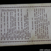 IMG-6987
