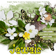 Jewels-4318-B