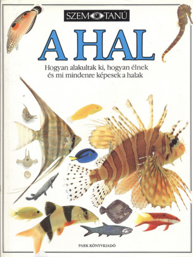 [Kép: covers-101720.jpg]