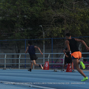 IMG 0388